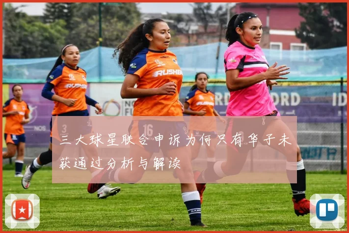 三大球星联合申诉为何只有华子未获通过分析与解读