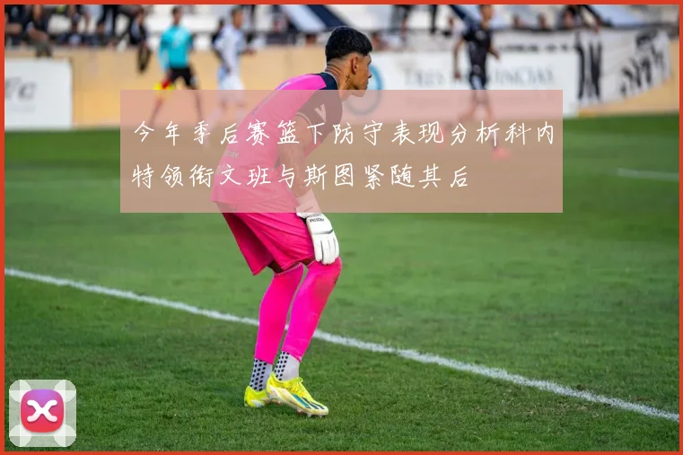 今年季后赛篮下防守表现分析科内特领衔文班与斯图紧随其后