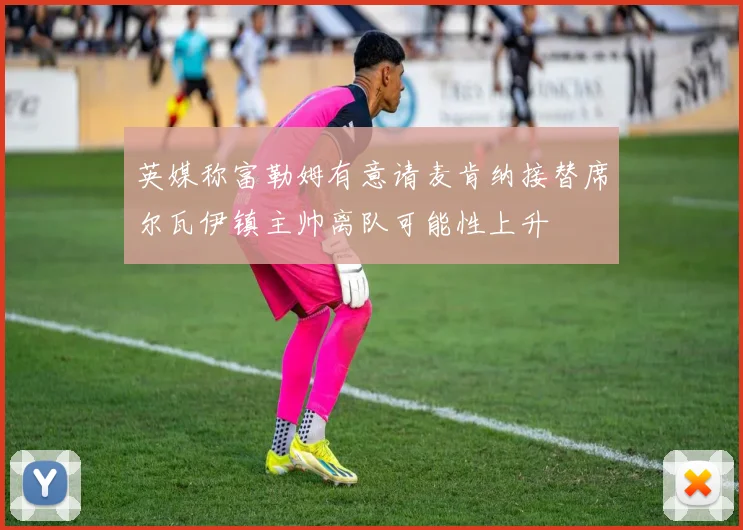 英媒称富勒姆有意请麦肯纳接替席尔瓦伊镇主帅离队可能性上升